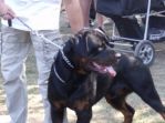 foto_601.jpg