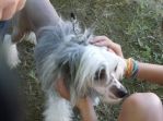foto_602.jpg